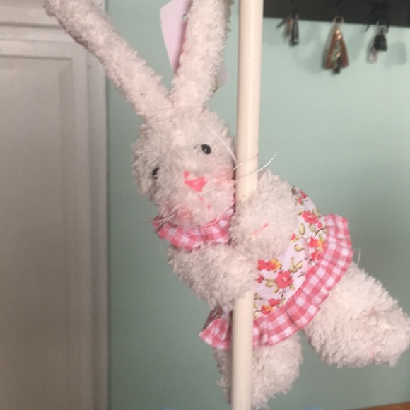 Hello Spring Rabbit 🐇 And Shovel - Picture 4 of 5